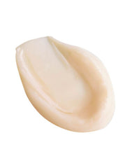 MAGIC NIGHT CREAM