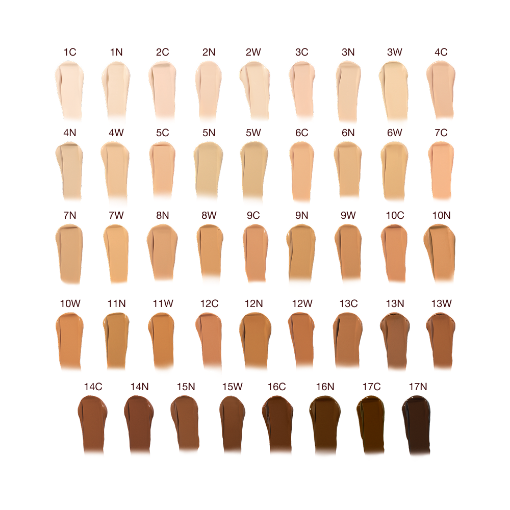 AIRBRUSH FLAWLESS COMPLEXION ICONS
