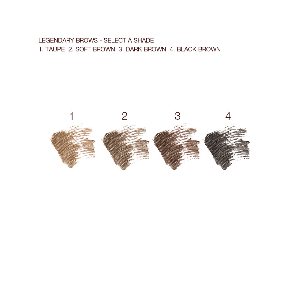 SUPERMODEL BROW KIT
