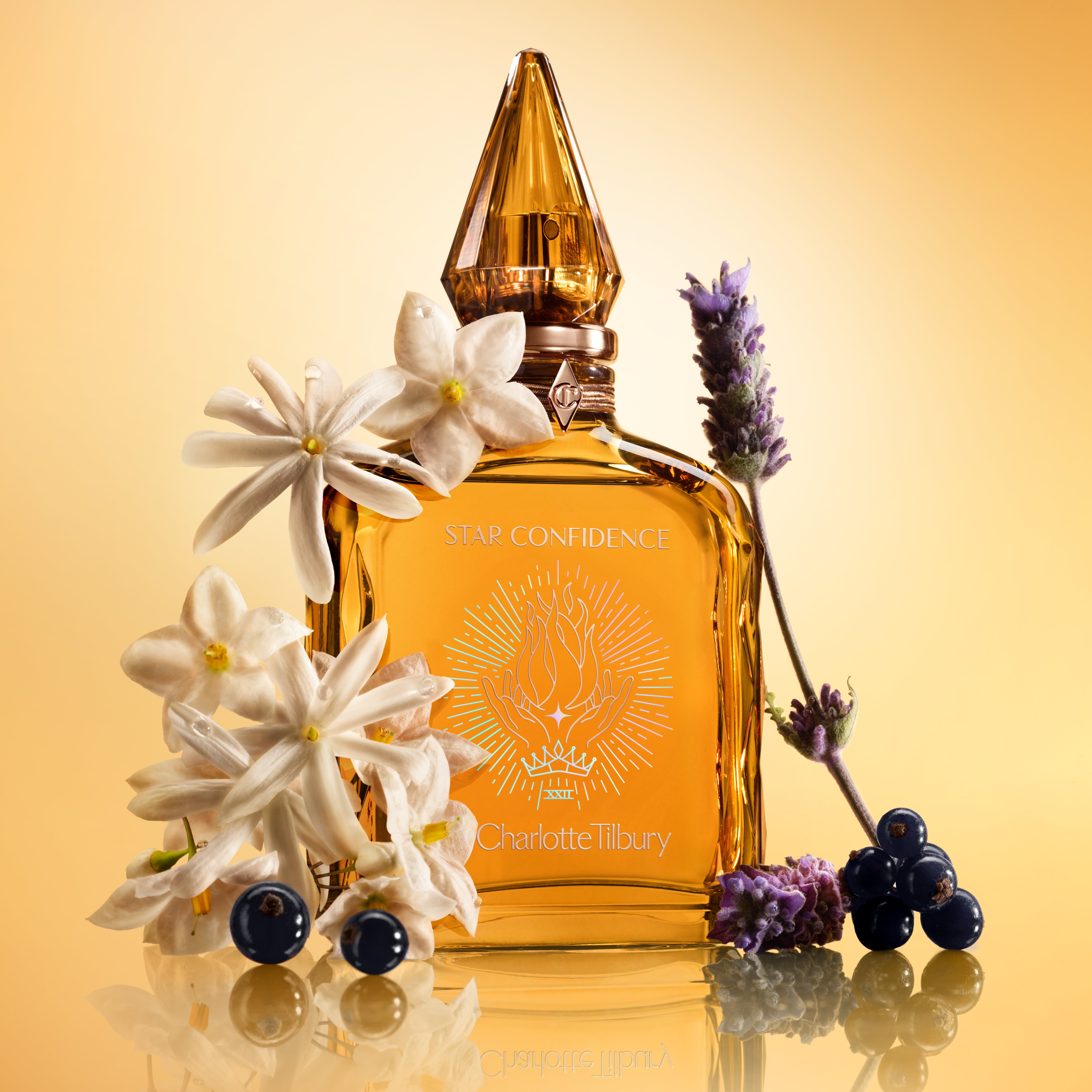 CHARLOTTE'S FRAGRANCE COLLECTION OF EMOTIONS